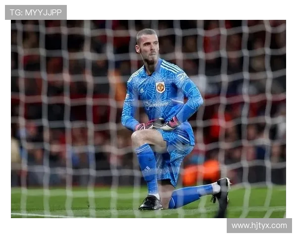 德赫亚发文求推荐最佳动漫电影